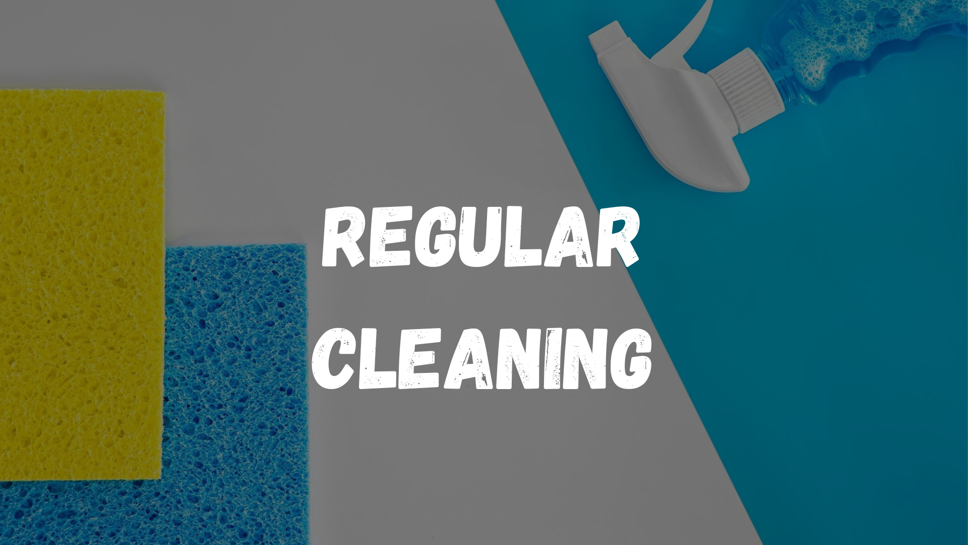 Regular Cleaning Geelong